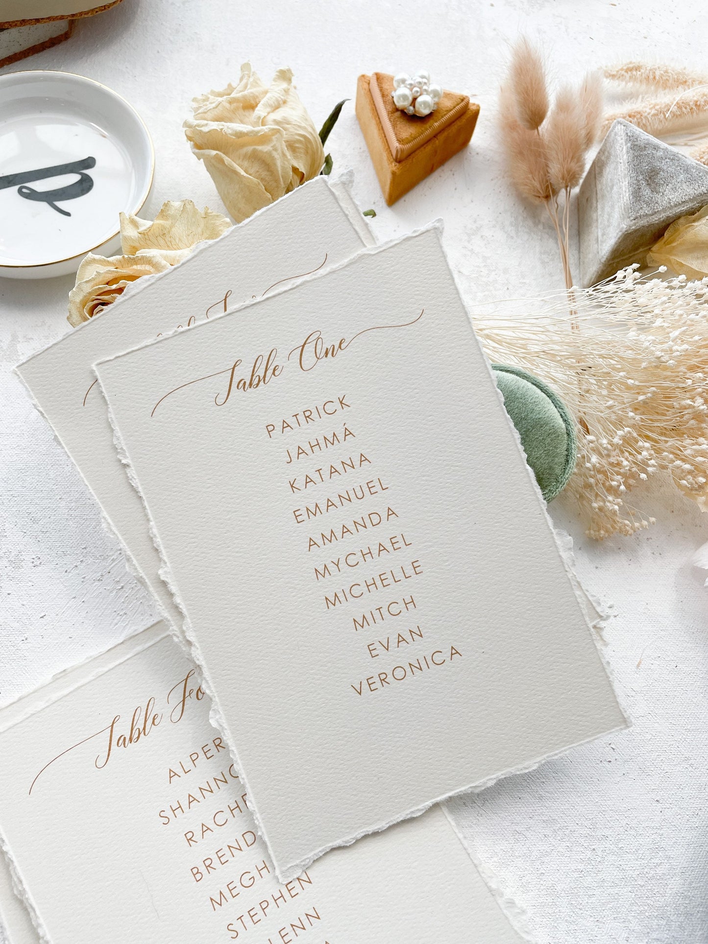 Seating Chart PRINTED - Deckle Edging Style 211