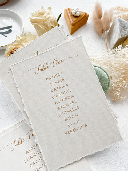Seating Chart PRINTED -  Deckle Edging Style 211